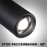 Светильник накладной NOVOTECH OVER NAIL 359222 OVER NT23 201 IP20 LED 3000К\4000К\6000К 5W/9W/13W 220V с переключателем температуры мощности черный NV-359222